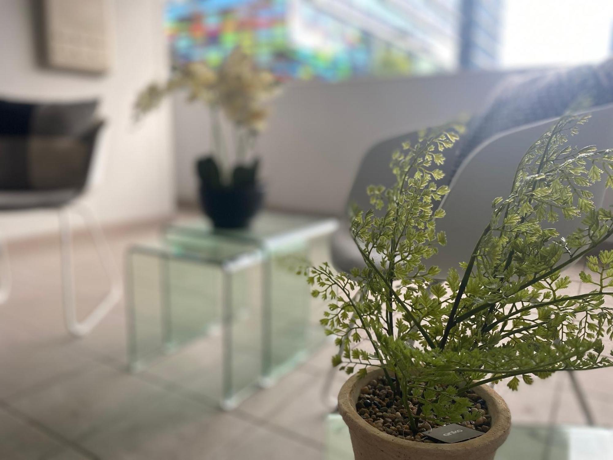 Parramatta Adorable 3br Parkingbusshopping Apartment